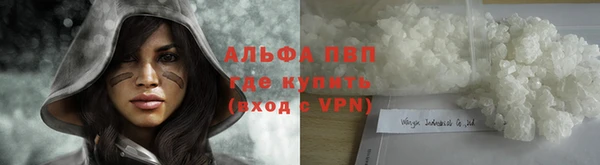 крисы Калининец