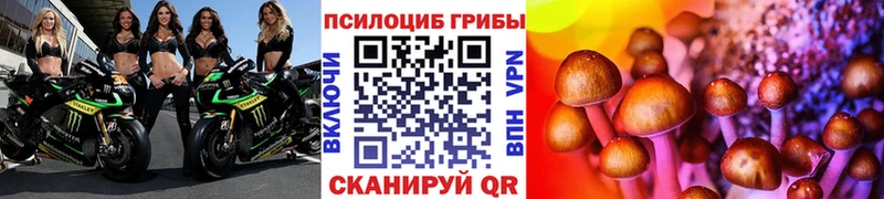 Псилоцибиновые грибы MAGIC MUSHROOMS  цены наркотик  kraken зеркало  Миасс 